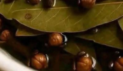 Bay Leaf and Clove Herbal Tea