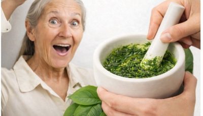 🌿The Powerful Leaf People Are Talking About — What the Research Really Says