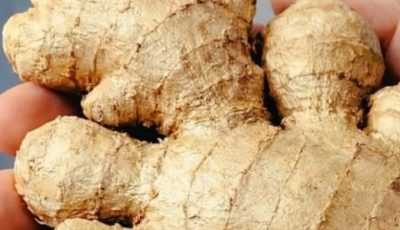 Natural Ways to Clean Your Respiratory Tract and Strengthen Your Immune System