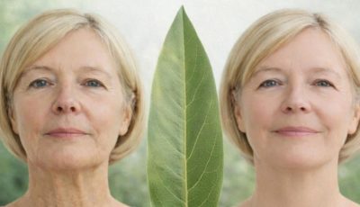 Bay Leaf for Wrinkles: A Natural Anti-Aging Remedy That Nourishes the Skin