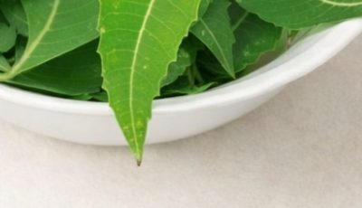Neem Leaves for Better Health: Benefits, Uses, and How to Use Them Safely