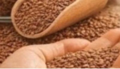 Cancer is afraid of These 6 Seeds: Fight Cancer Naturally