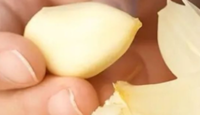 El Garlic: The Natural Antibiotic That Wages War on Infections