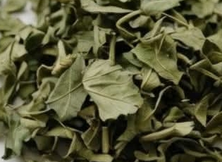 Tisane pour jambes gonflées : remède naturel contre la rétention d’eau et la mauvaise circulation