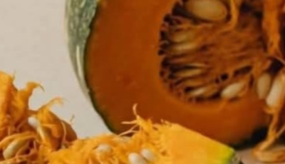 Pumpkin Home Remedies for High Blood Sugar, Cholesterol, and Artery Cleansing