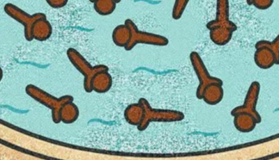 Clove Water Sitz Baths for Women: A Gentle Guide to Hygiene and Comfort