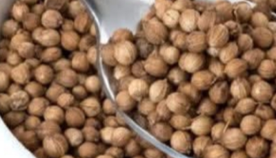 Thyroid Issues Are Rising—Here’s a Natural Drink That May Help (Without Replacing Medical Care)