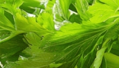 Cleanses the Liver 150 Times More Powerful Than Garlic and Lemon: Grandma’s Miracle Recipe