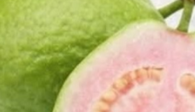 Guava Leaf Tea: Benefits, Properties, and How to Prepare It