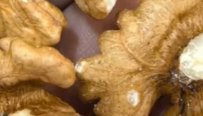 The Health Benefits of Walnuts: A Superfood for Heart, Brain, and Overall Well-being