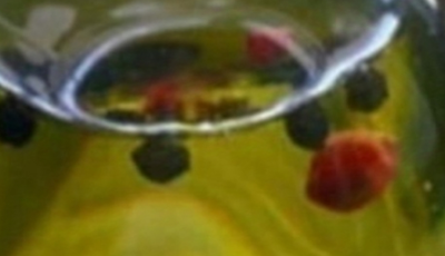The oil renowned for eliminating uric acid from the bloodstream, alleviating anxiety, chronic arthritis, rheumatism, and reducing cravings for cigarettes and alcohol.