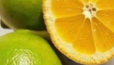 Lemon Peel Tea: A Refreshing, Natural Drink for Hydration and Daily Wellness