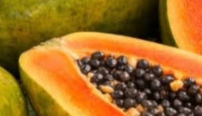 Recipes with Papaya Seeds: Benefits, Uses, and Natural Preparation