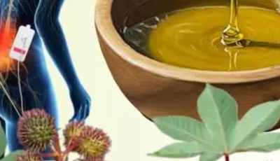 Discover the Healing Power of Castor Leaves