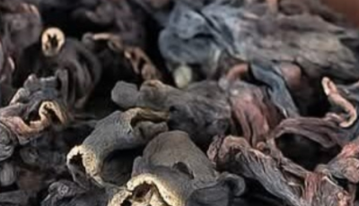 The Drink That’s Gaining Attention in 2025: A Natural Blend to Support Blood Pressure, Diabetes, and More
