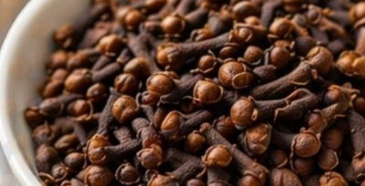Most Seniors Over 60 Don’t Know This About Chewing Two Dark Pantry Spices