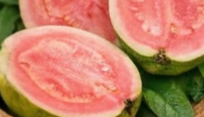 The Natural Juice Blend Gaining Attention