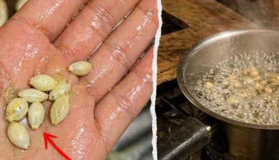 Ne jetez pas les pépins de citron : un trésor naturel que presque tout le monde gaspille