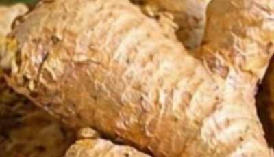 Discover the 5 Groups of People Who Should Be Cautious About Ginger Consumption for Their Health