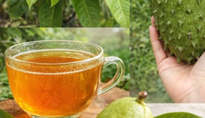 Medicinal leaves for diabetes and blood pressure: uses and how to prepare them.