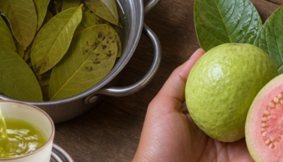 Guava Leaves: Natural Traditional Support for Digestion, Mild Inflammation, Fluid Balance, and Colon Health
