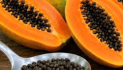 Papaya Seeds: The Tiny Natural Treasure More People Are Adding to Their Daily Wellness Routine