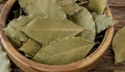 Bay Leaf: Benefits, Uses, and the Truth Behind the Health Claims