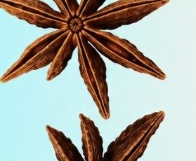 The Healing Power of Anise: A Soothing Infusion for Digestion and Wellness