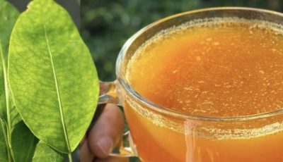 Herbal Leaves Tea: Natural Support for Wellness and Daily Health