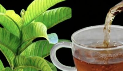 Guava Leaf Tea: Benefits, Properties, and How to Prepare It Naturally