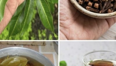 A Traditional Herbal Remedy for Digestion, Blood Sugar Balance, and Daily Wellness
